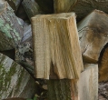 Wood